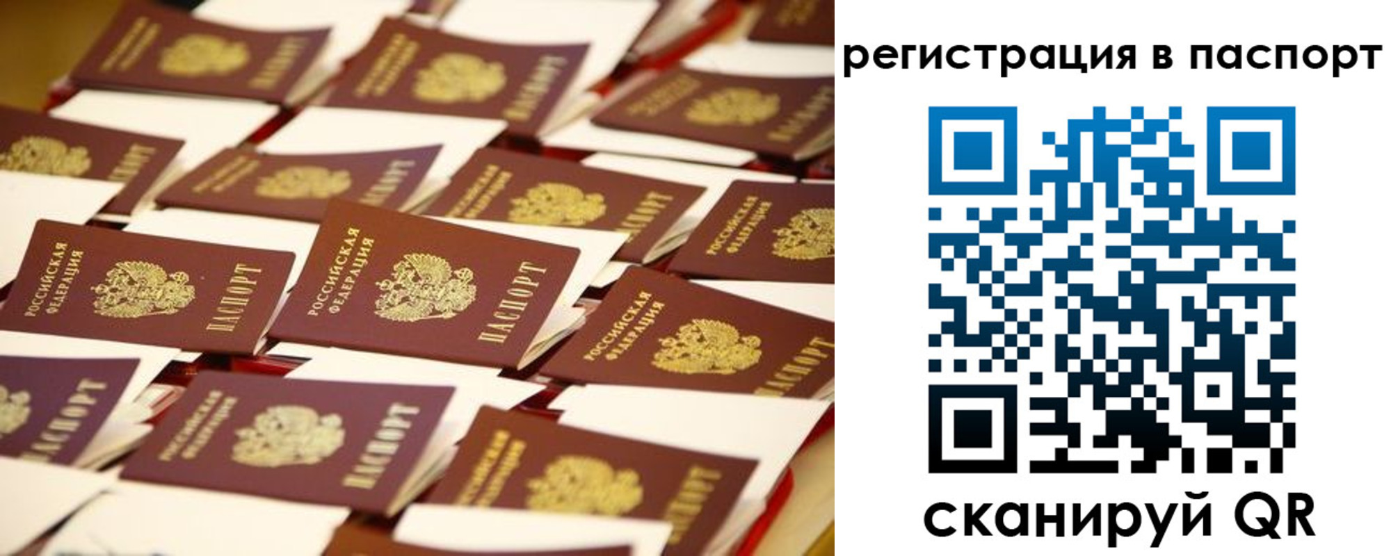 прописка гарантия в Благодарном